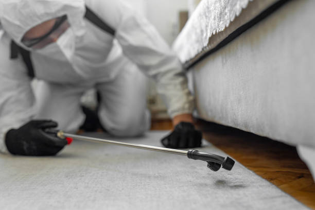 Professional Bed Bug Control technician working in Clark County County, IL